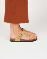 Gamuza esmeralda arena