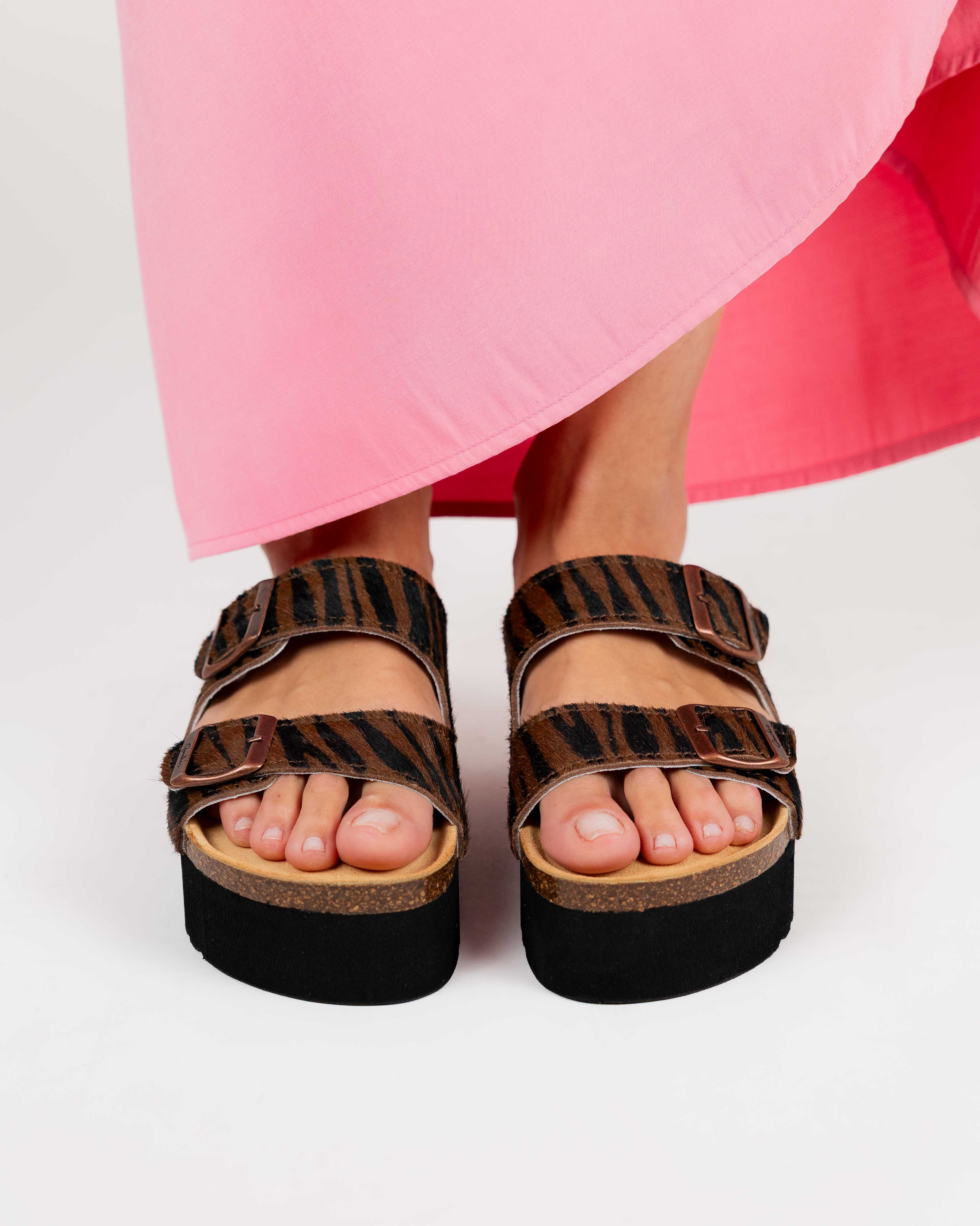 Plataforma Opal Zebra