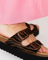 Plataforma Opal Zebra