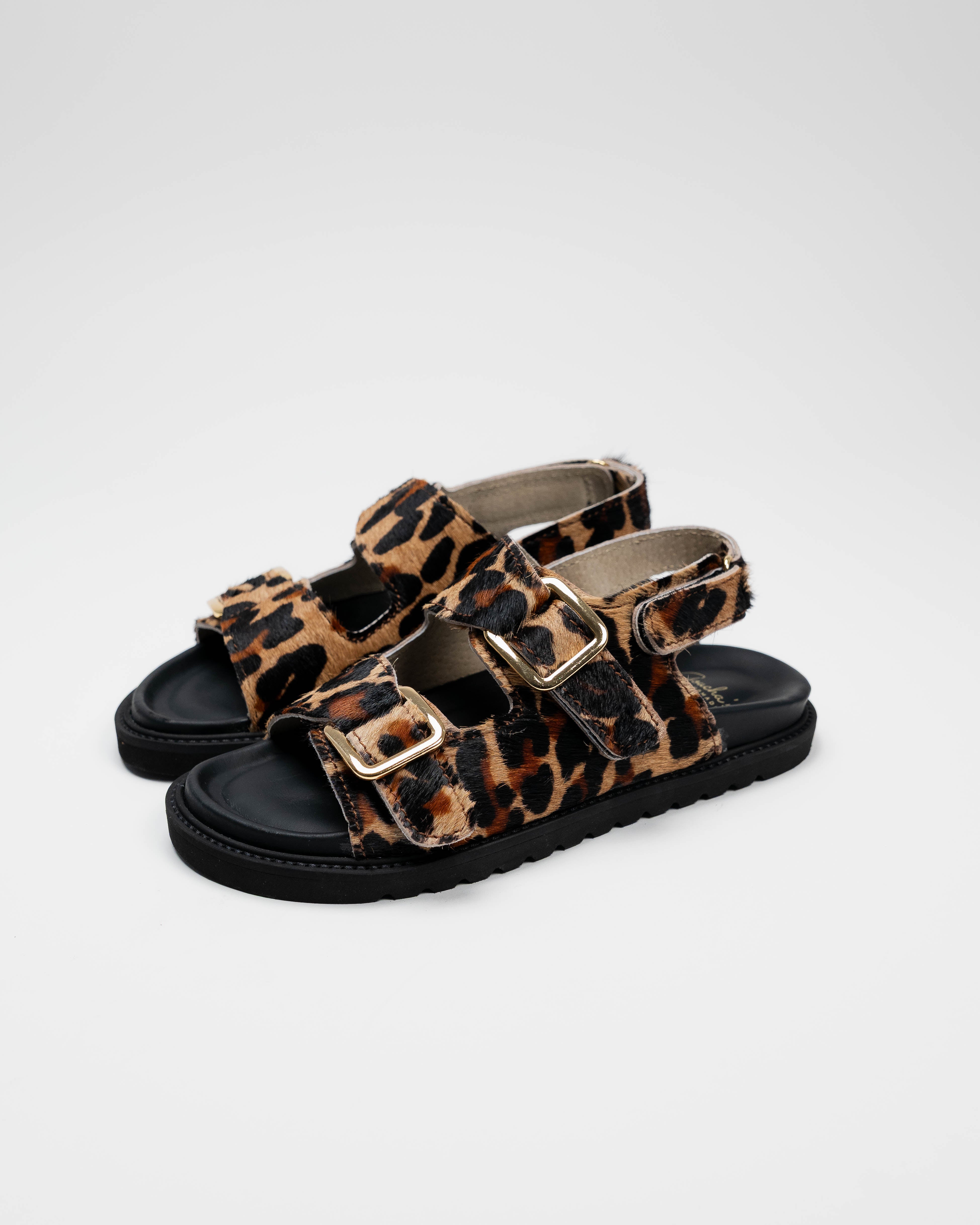 Diamante Leopardo