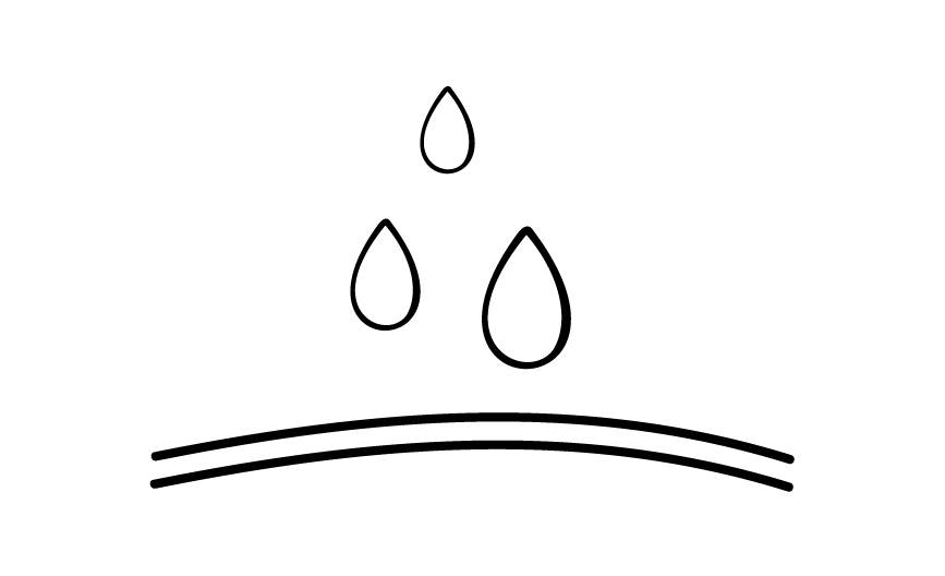 Cushioned insole