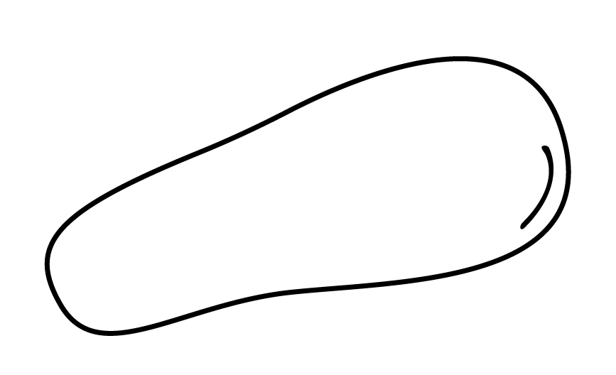 Rounded shape at the front for greater comfort